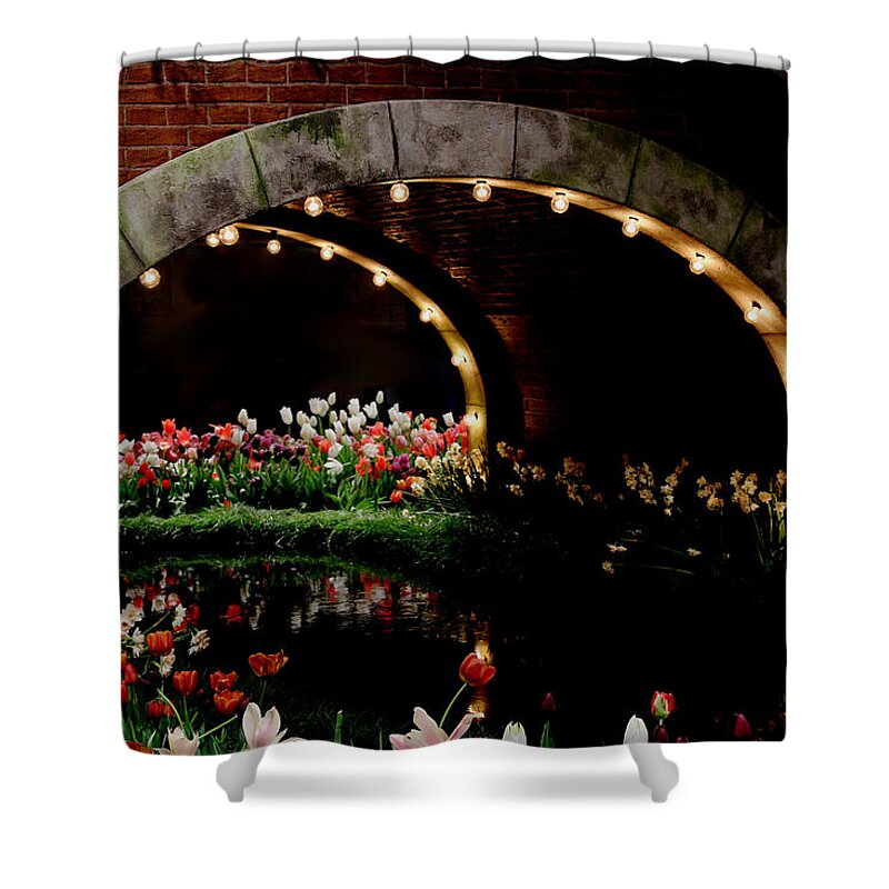 Bridge Shower Curtain featuring the photograph Beauty And The Bridge by Living Color Photography Lorraine Lynch