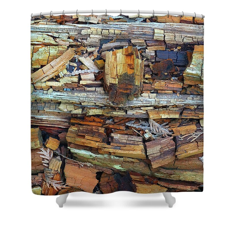 Woods Shower Curtain featuring the photograph Beauty in Decay Abstract by David T Wilkinson