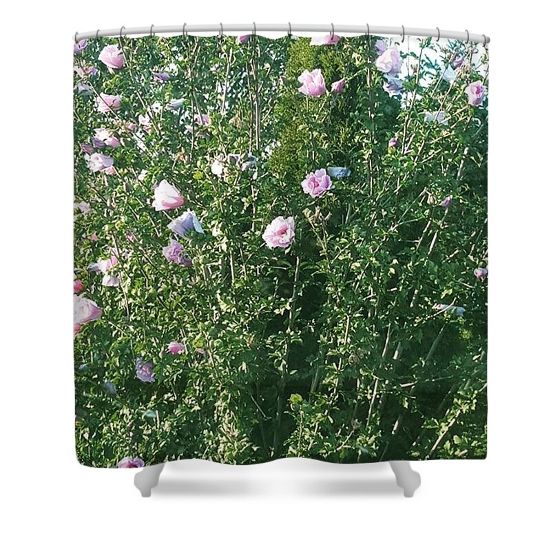  Shower Curtain featuring the photograph Beauty Is All Around, Man by Jocelyne Maxim