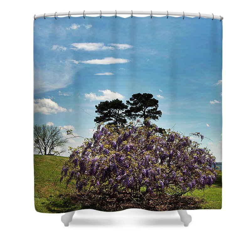 Scenic Shower Curtain featuring the photograph Beauty by Skip Willits