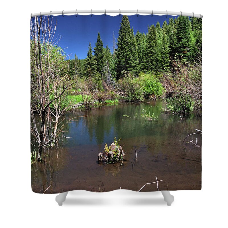 Nature Shower Curtain featuring the photograph Beaver Pond II by Ron Cline