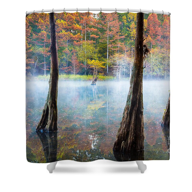 America Shower Curtain featuring the photograph Beavers Bend Cypress Grove by Inge Johnsson