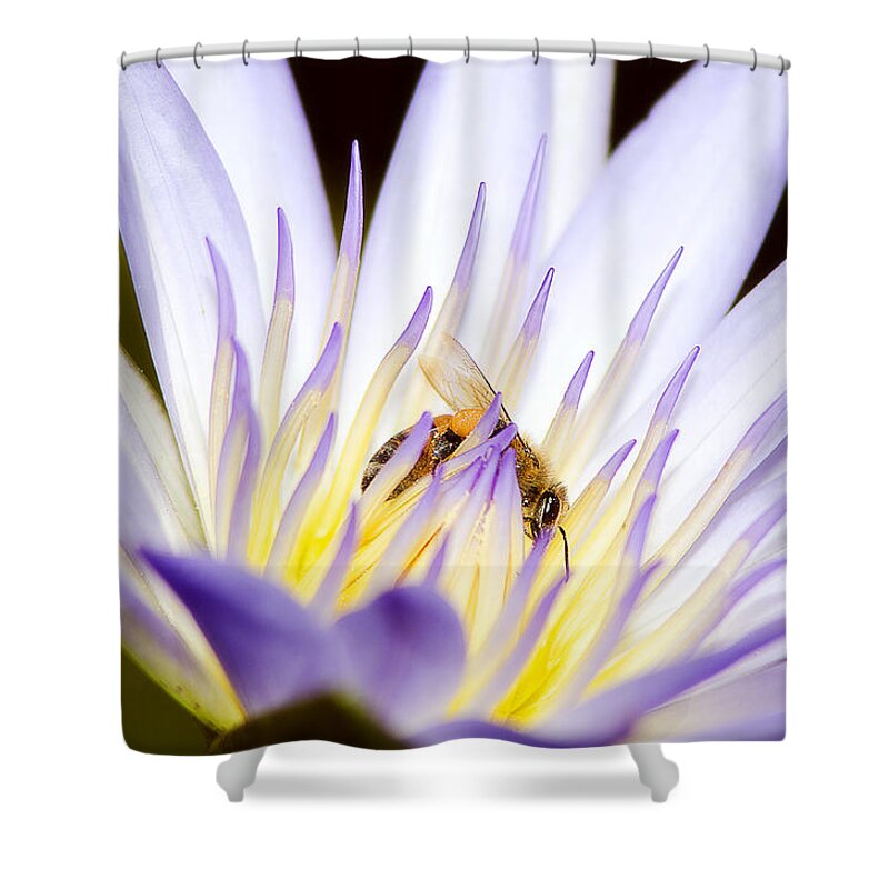 Bee Shower Curtain featuring the photograph Bee by Alex Castro