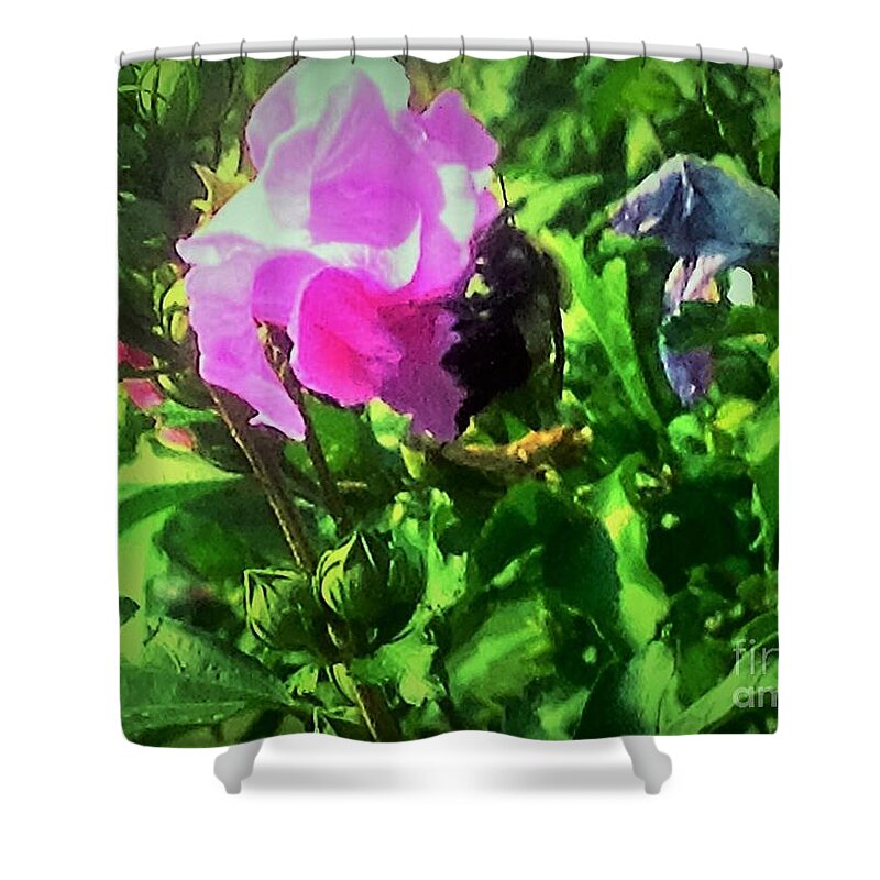 Pink Shower Curtain featuring the photograph Bee Climbing Into Flower by Debra Lynch