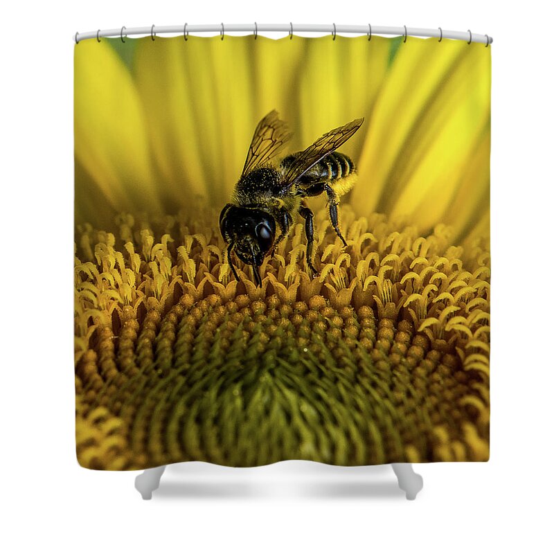 Bee Shower Curtain featuring the photograph Bee in a Sunflower by Paul Freidlund