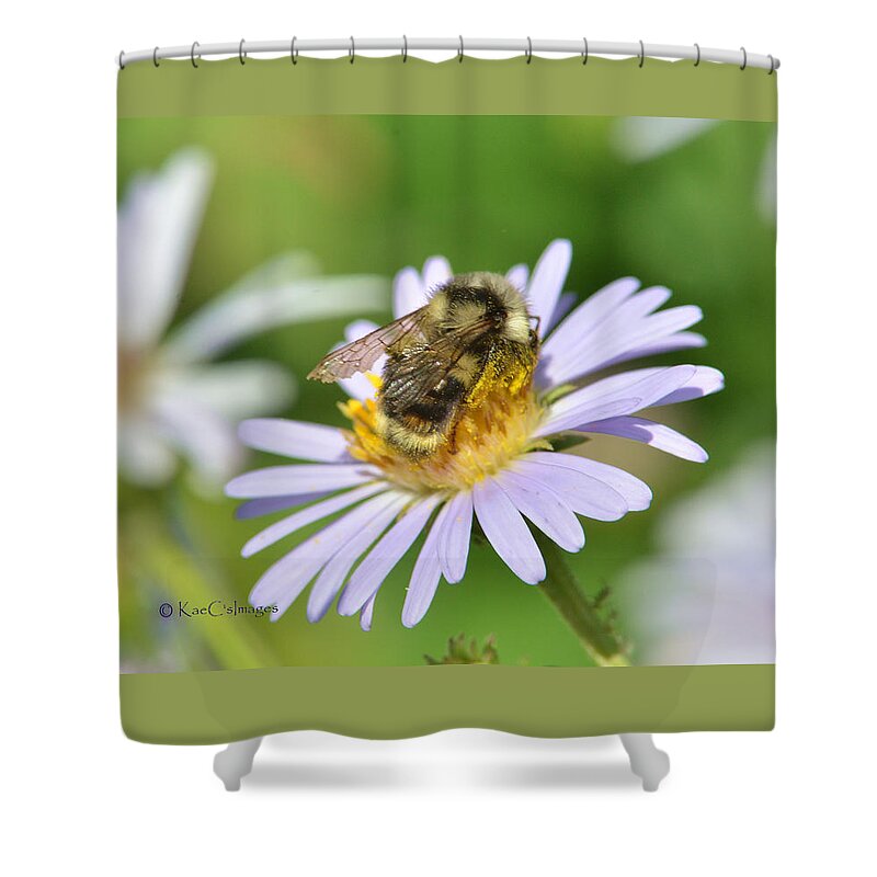Bee Shower Curtain featuring the photograph Bee on Flower by Kae Cheatham
