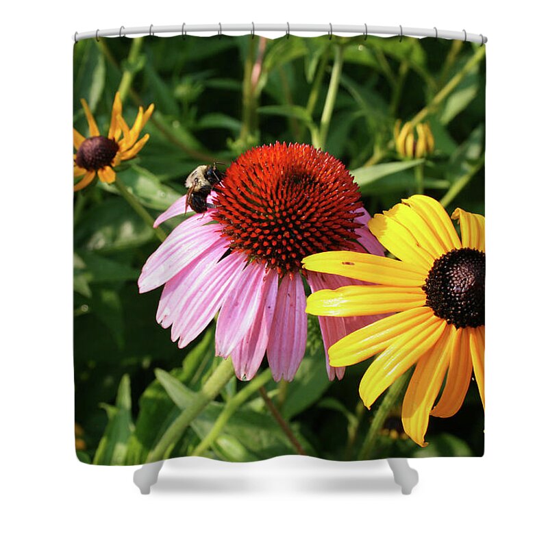 Cone Flower Shower Curtain featuring the photograph Bee on the Cone Flower by Greg Joens