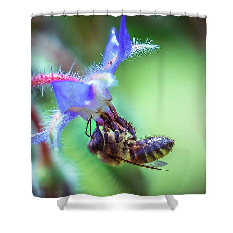 Bee Shower Curtain featuring the photograph Bee on the flower by Lilia S