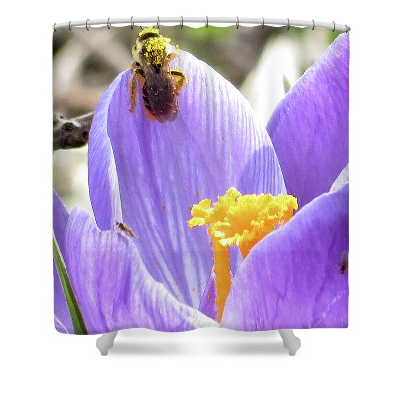 Bee Shower Curtain featuring the photograph Bee Pollen by Azthet Photography