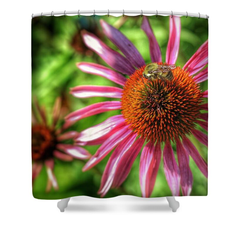 Bee Shower Curtain featuring the photograph Bee Sitting Pretty by Buck Buchanan