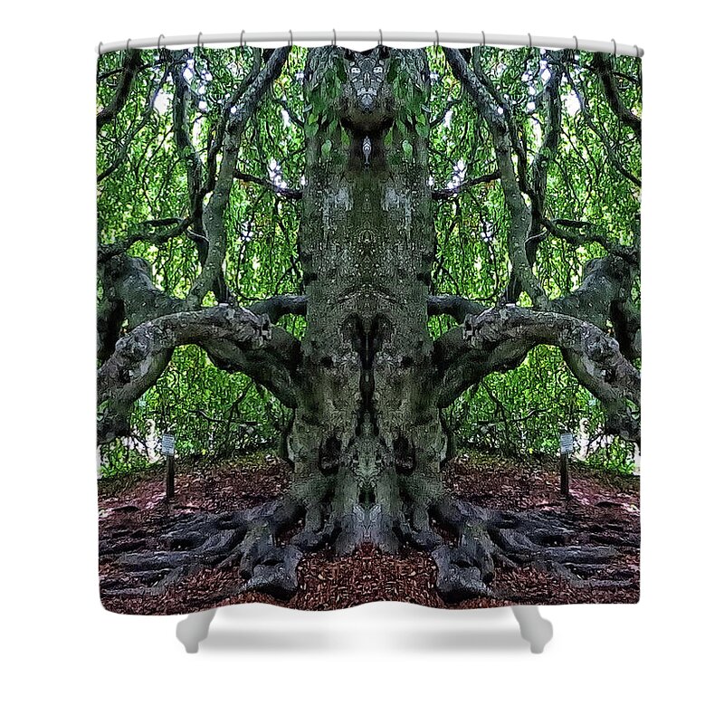 Mirror Image Pareidolia Shower Curtain featuring the photograph Beech Tree Image Pareidolia by Constantine Gregory