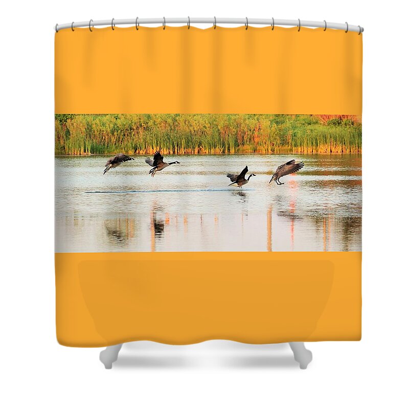 Pond Life Shower Curtain featuring the photograph Before During And After by Karl Anderson