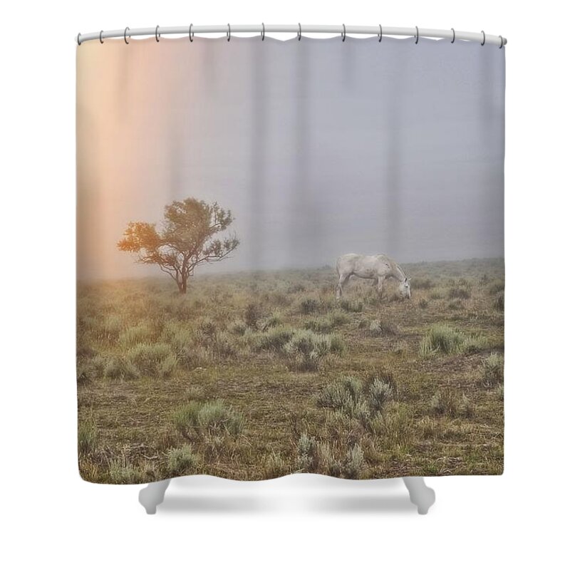 Horse Shower Curtain featuring the photograph Beggar in the Mist by Amanda Smith