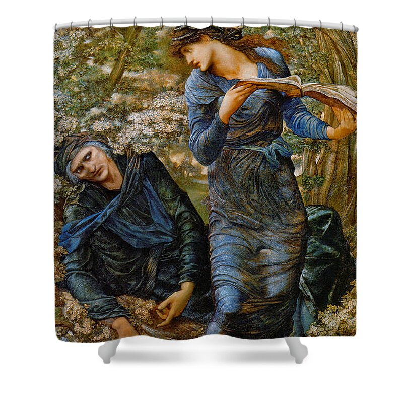 Beguiling Merlin 1873 Shower Curtain featuring the photograph Beguiling Merlin 1873 by Padre Art