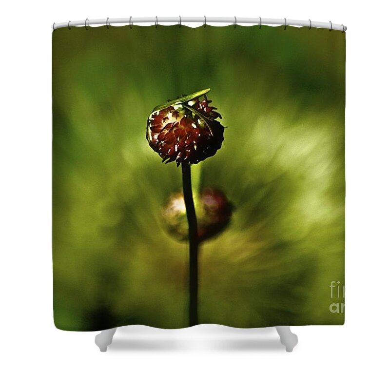 Flower Shower Curtain featuring the photograph Behind The Bud by Tracy Rice Frame Of Mind