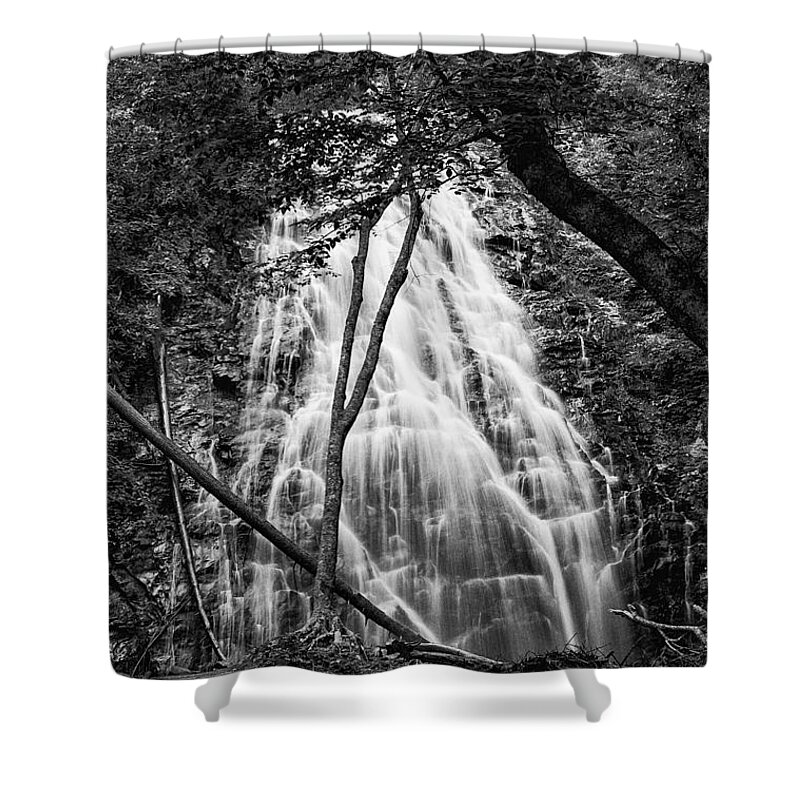 Landscape Shower Curtain featuring the photograph Behind The Tree-bw by Joye Ardyn Durham