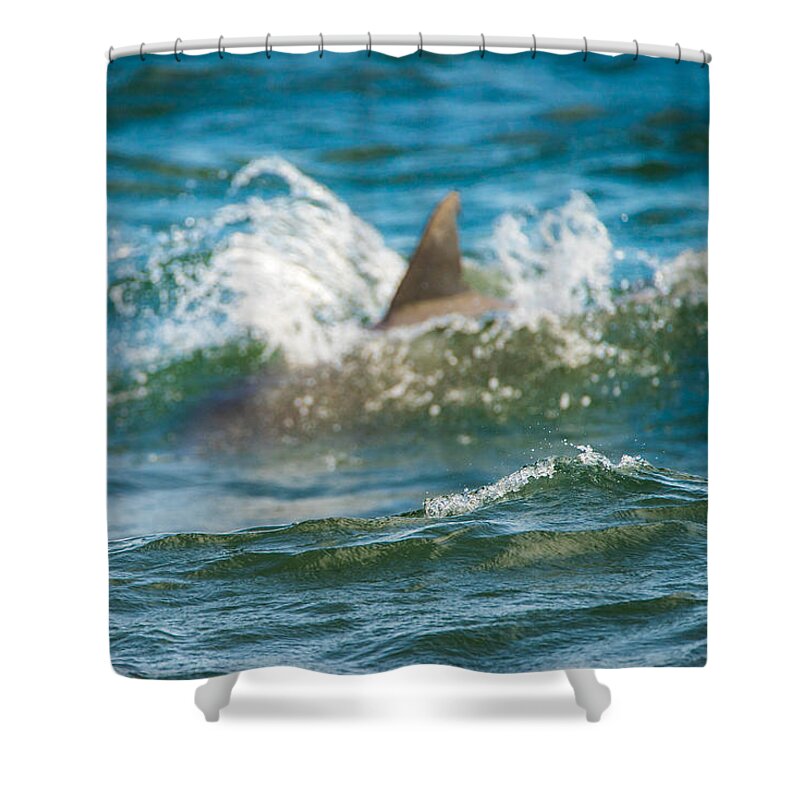 Dolphin Shower Curtain featuring the photograph Behind the Wave by Wild Fotos
