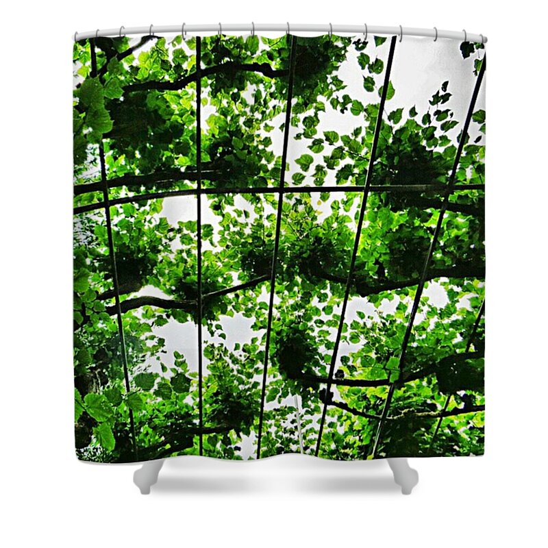 All_shots Shower Curtain featuring the photograph Being Led by Hans Fotoboek