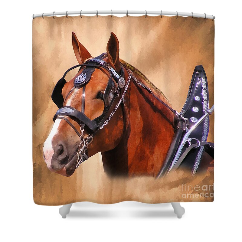 Belgian Shower Curtain featuring the photograph Belgian Beauty by Carol Randall