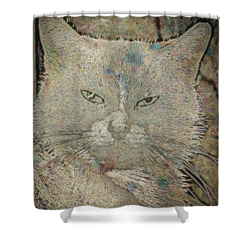 Cat Shower Curtain featuring the photograph Bella by David Yocum