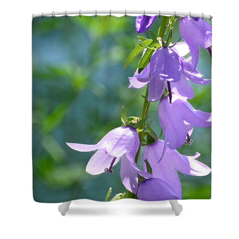 Flowers Shower Curtain featuring the photograph Bellfower Fairy Dresses by Lyle Crump