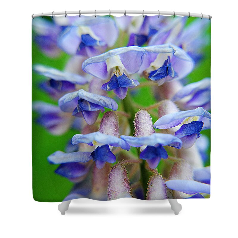 Bells Shower Curtain featuring the photograph Bells No Whistles by Frozen in Time Fine Art Photography