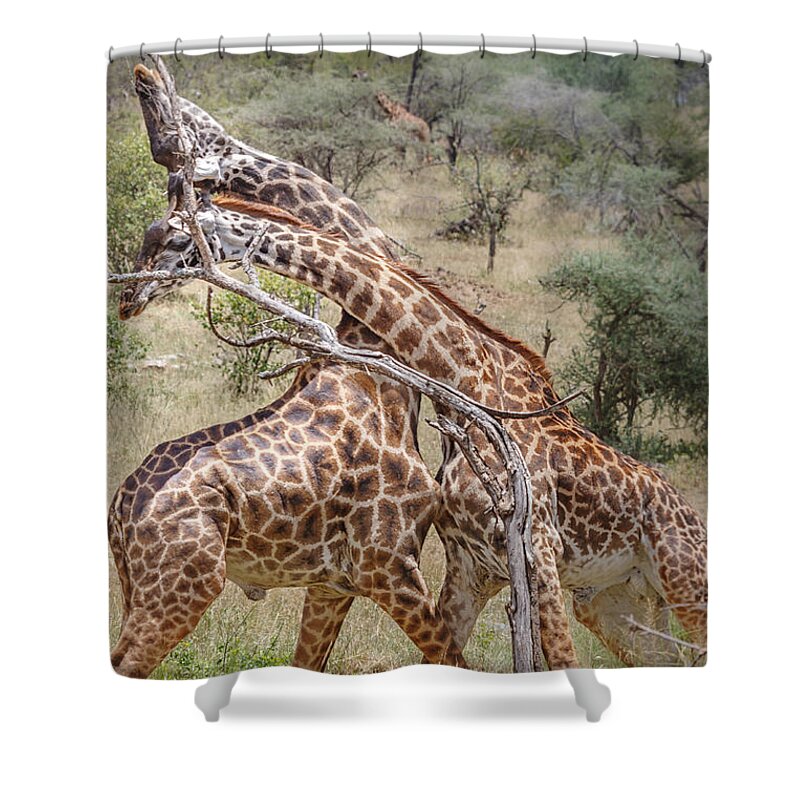 Africa Shower Curtain featuring the photograph Bend like the Willow by Sylvia J Zarco