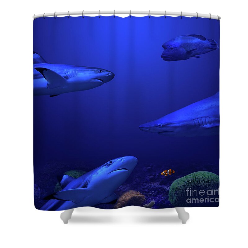 Ocean Shower Curtain featuring the photograph Beneath the Surface by Andrea Silies