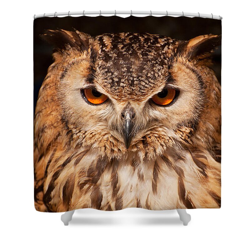 Owl Shower Curtain featuring the photograph Bengal Owl by Chris Thaxter