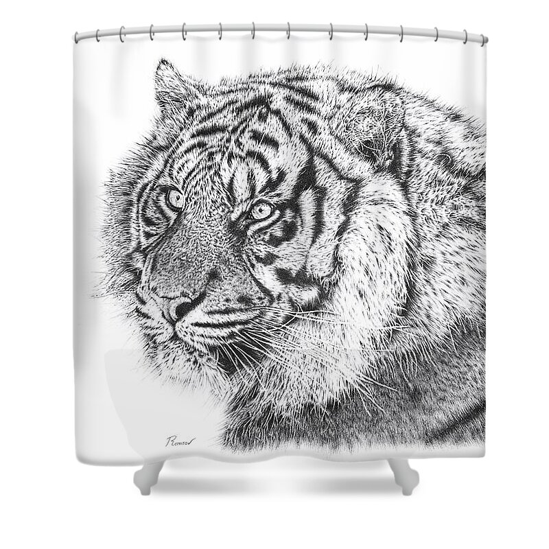 Pencil Drawing Shower Curtain featuring the drawing Bengal Tiger by Casey 'Remrov' Vormer