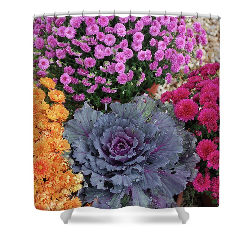 Flowers Shower Curtain featuring the photograph Bennington Farm 8273 by Guy Whiteley