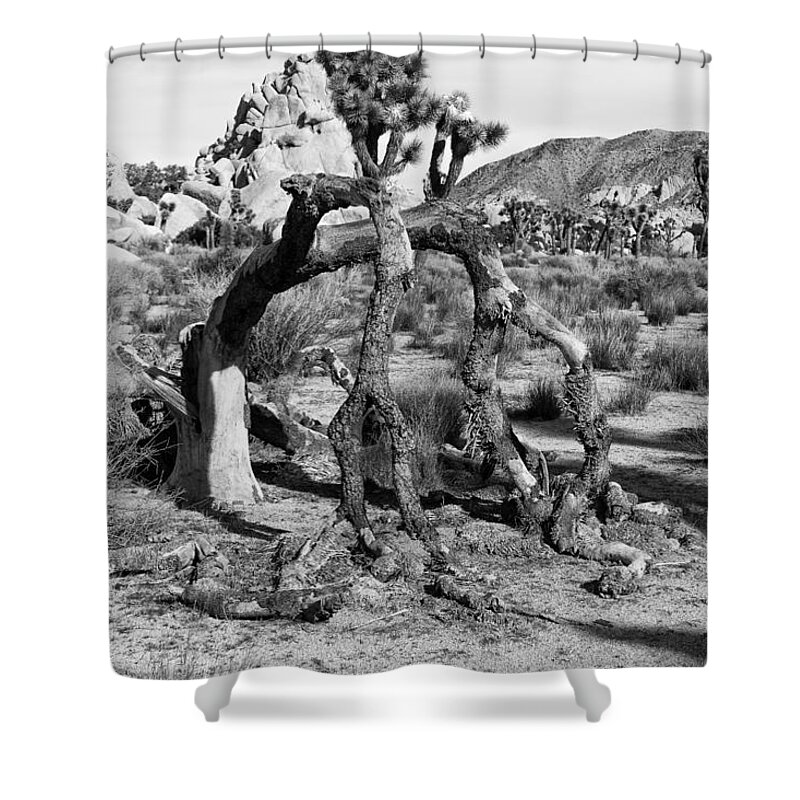 Joshua Tree Shower Curtain featuring the photograph Bent Joshua by Sandra Selle Rodriguez