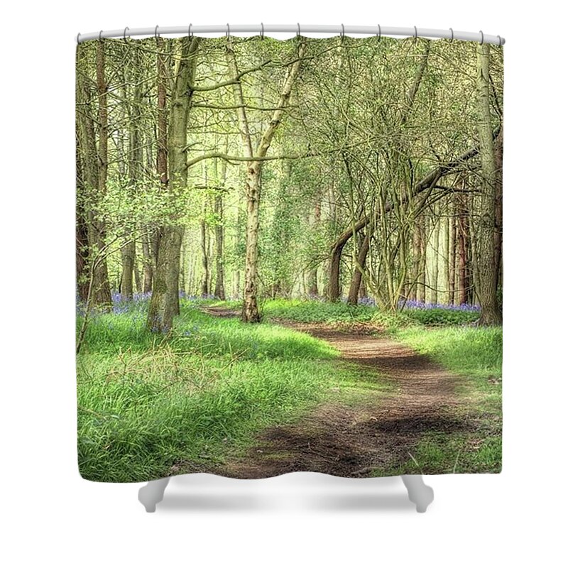 Nature Shower Curtain featuring the photograph Bentley Woods, Warwickshire
#landscape by John Edwards