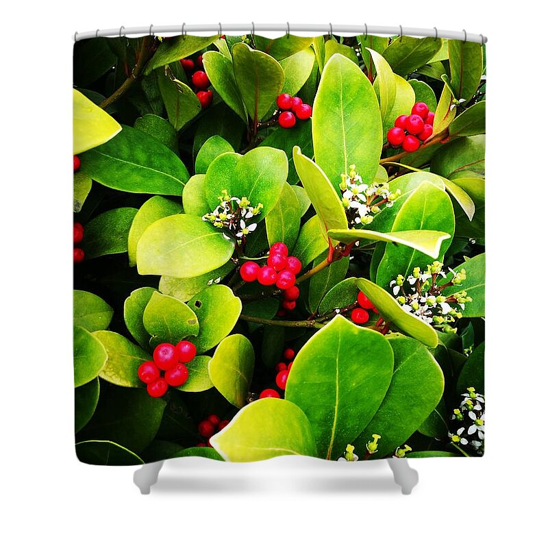  Shower Curtain featuring the photograph Berries and blossom by Jarek Filipowicz