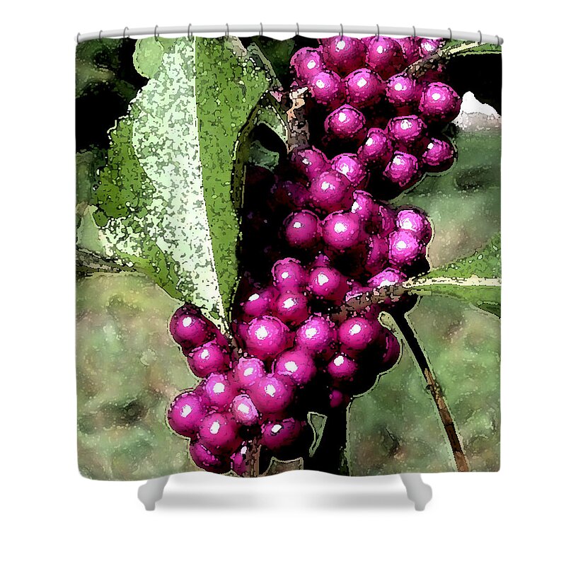 Berries Shower Curtain featuring the photograph Berries by George Gadson