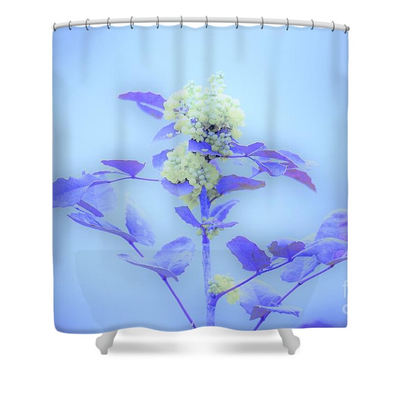 Floral Shower Curtain featuring the photograph Berries on blue by Merle Grenz