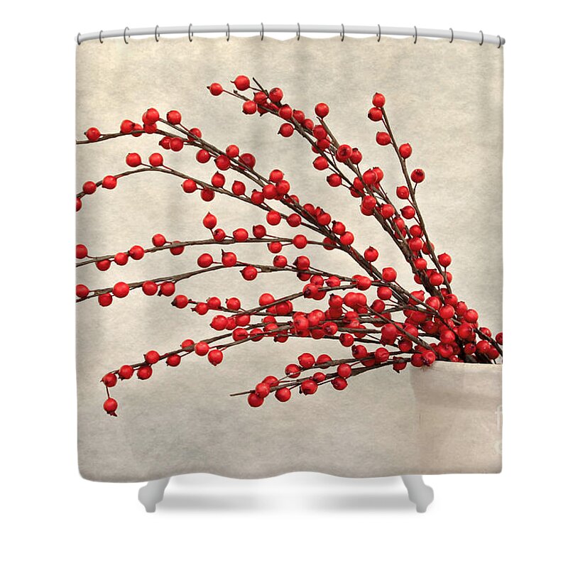 Maine Shower Curtain featuring the photograph Berries Still Life by Karin Pinkham