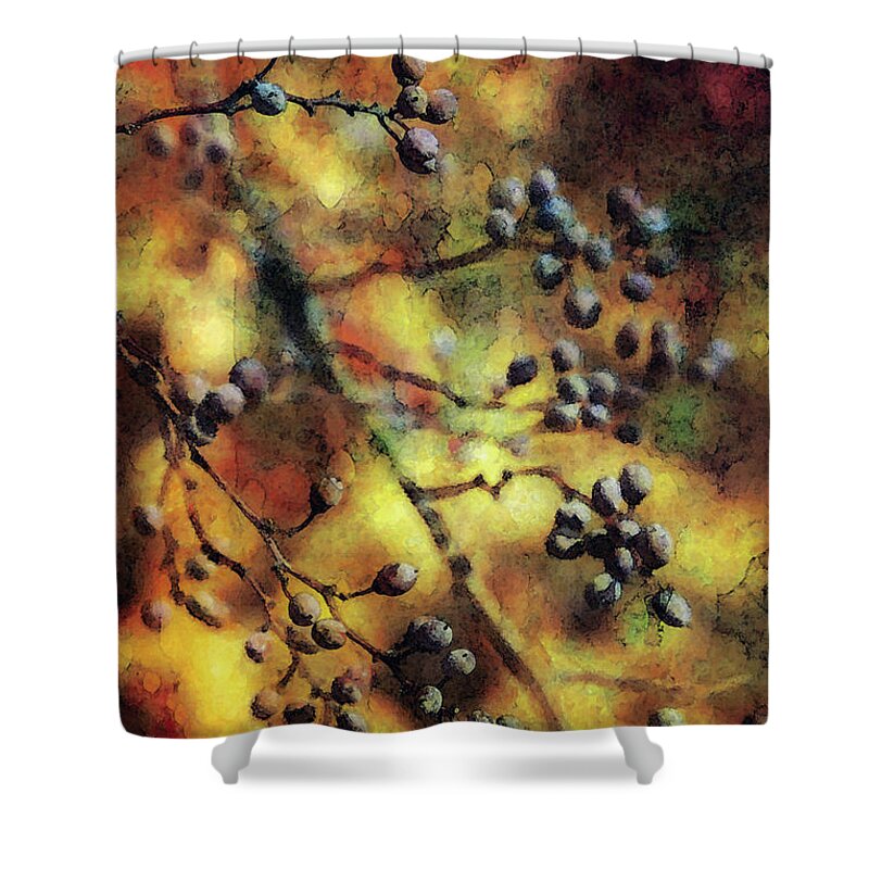 Berry Shower Curtain featuring the photograph Berry Sunset 7191 IDP_2 by Steven Ward
