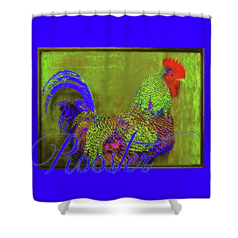 Cobalt Blue Shower Curtain featuring the photograph Bert the Rooster by Amanda Smith