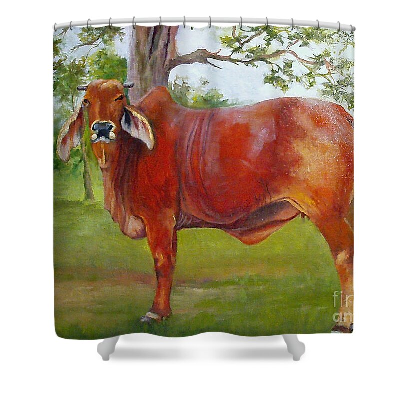 Cow Shower Curtain featuring the painting Bessie The Brahama by Barbara Haviland