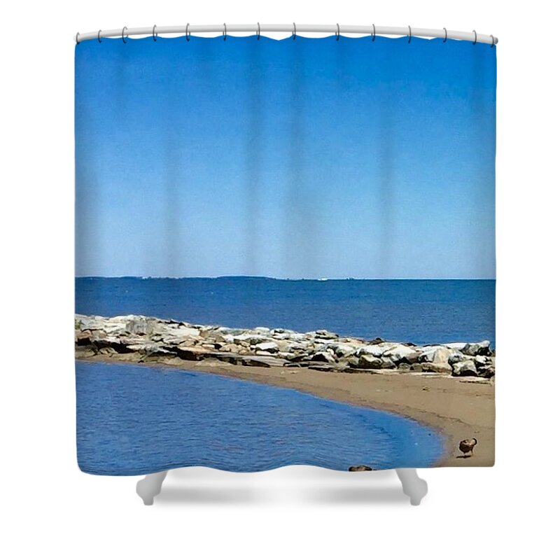Best Shower Curtain featuring the photograph Best Ducks on North Beach, Chesapeake Bay, Maryland by Kenlynn Schroeder