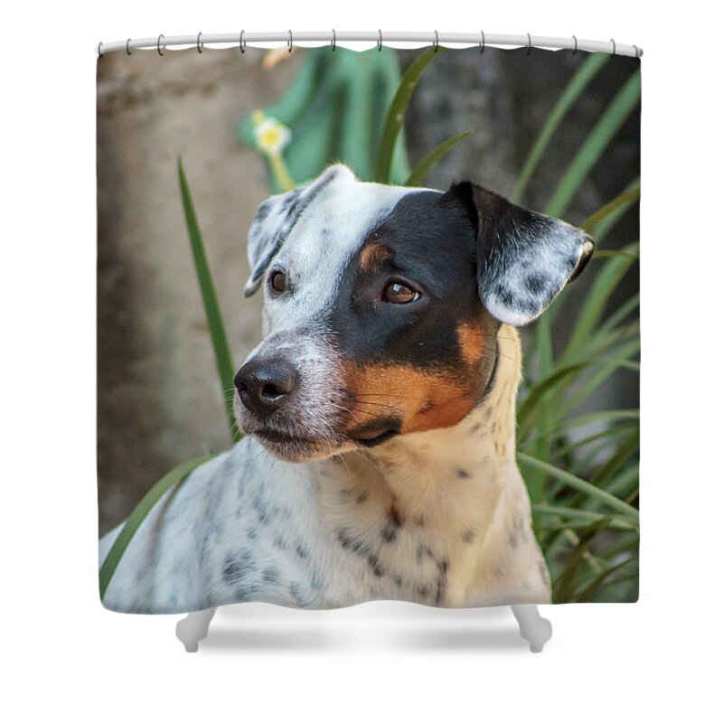 Dog Shower Curtain featuring the photograph Best Friend by Fred Boehm