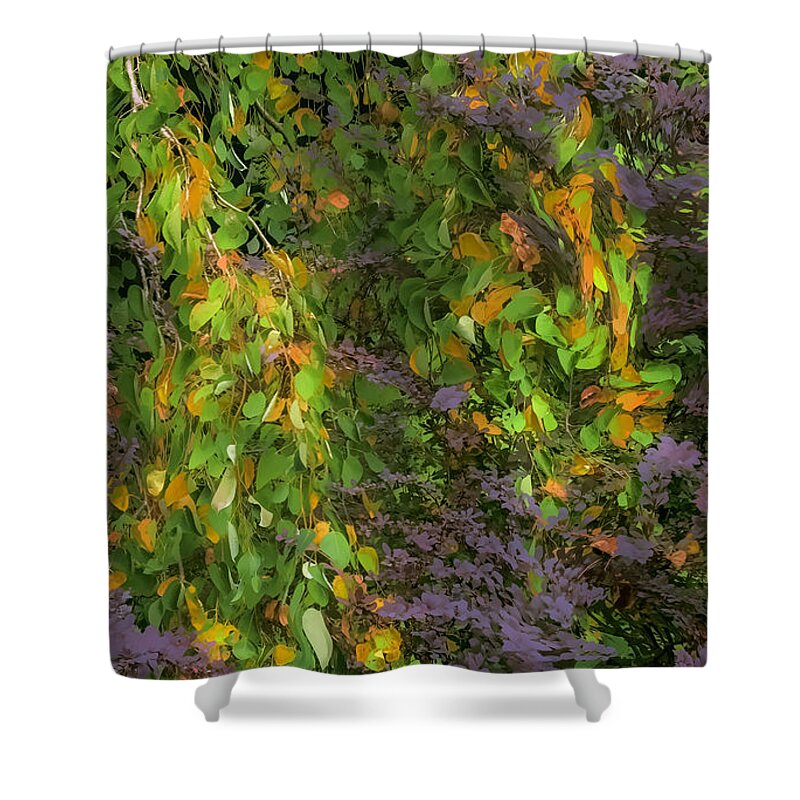 Trees Shower Curtain featuring the photograph Beth's Swirling Katsura Tree by Saxon Holt