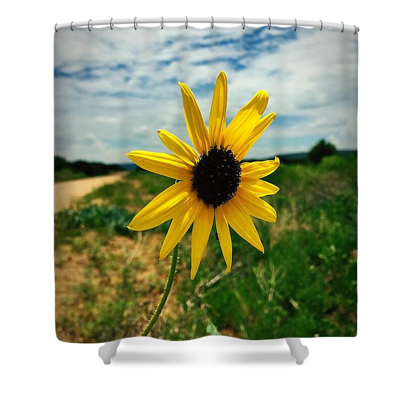 Sunflower Shower Curtain featuring the photograph Between Heaven And Earth by Brad Hodges