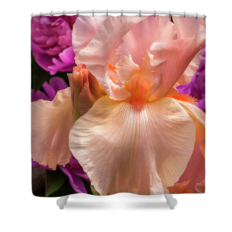 5dii Shower Curtain featuring the photograph Beverly Sills Iris by Mark Mille