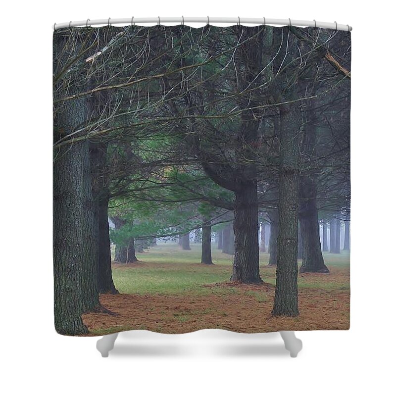 Woodland Shower Curtain featuring the photograph Beyond the Pines by Bruce Bley