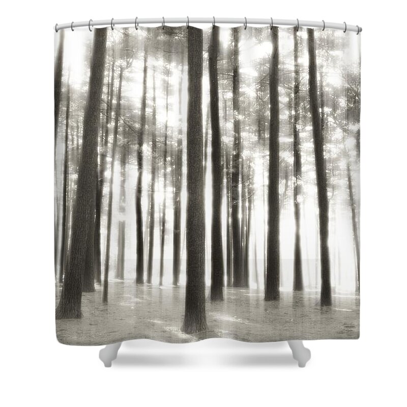 Nature Landscapes Shower Curtain featuring the photograph Beyond The Trees - Ocean County Park by Angie Tirado