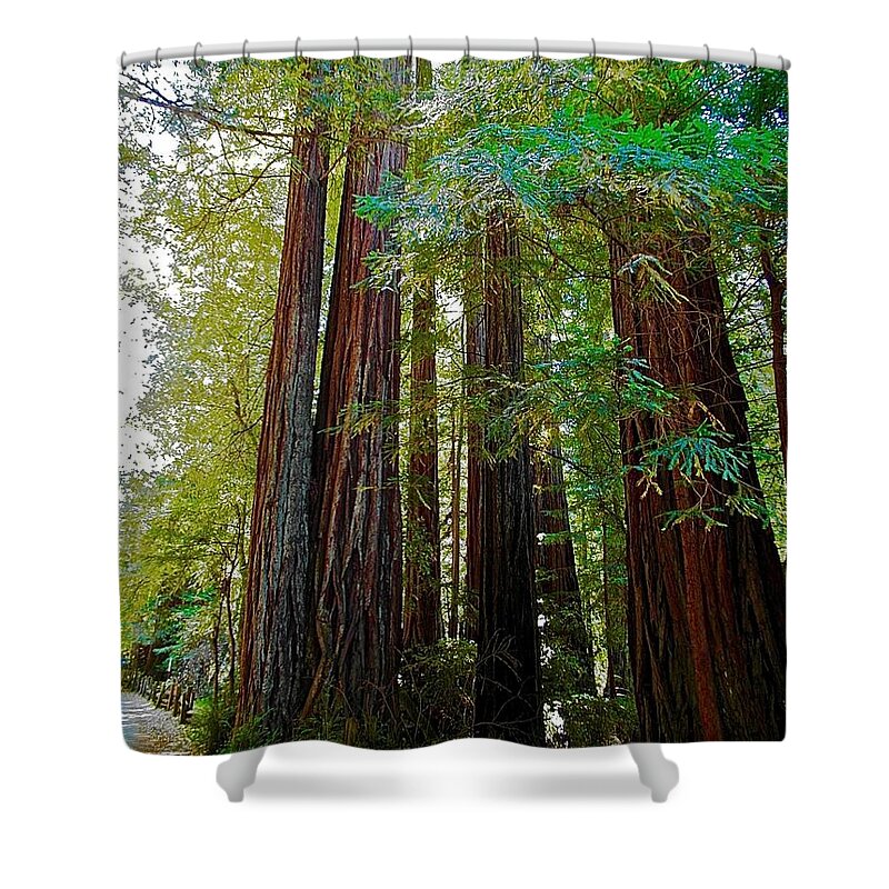 Reedwood Shower Curtain featuring the photograph Big Basin Redwood by Elisabeth Derichs