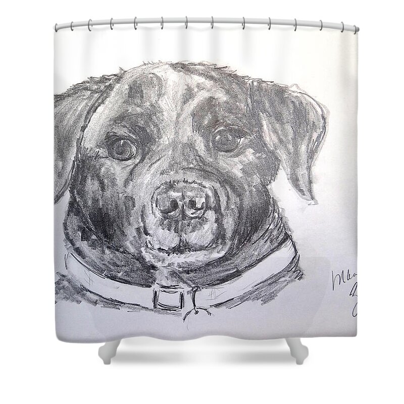 Dog Shower Curtain featuring the drawing Big Black Dog by Marilyn Zalatan