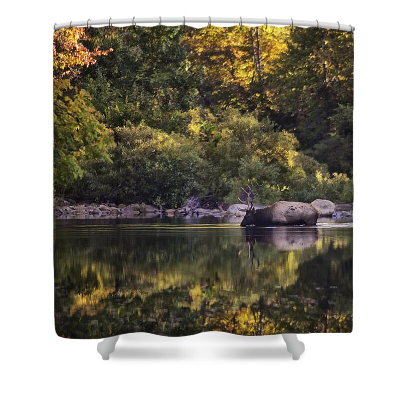 Fall Color Shower Curtain featuring the photograph Big Bull in Buffalo National River Fall Color by Michael Dougherty